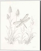 Nature Sketchbook IV Fine Art Print