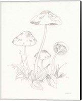 Nature Sketchbook III Fine Art Print