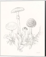 Nature Sketchbook II Fine Art Print