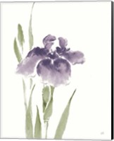 Japanese Iris III Purple Crop Fine Art Print