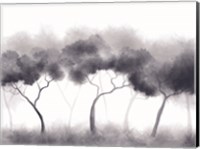 Misty Blue Forest Trees Fine Art Print