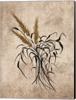 Wheat Grain Fine Art Print