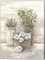 Rose Botanical Fine Art Print