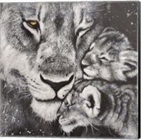 Lioness Fine Art Print
