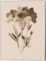 Sepia Botanical I Fine Art Print
