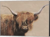 Highland Cow Fine Art Print