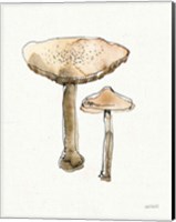 Fresh Farmhouse Mushrooms II Fine Art Print