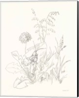 Nature Sketchbook VII Fine Art Print