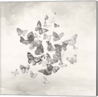 Beautiful Butterflies BW Fine Art Print