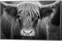 Cow Nose BW Fine Art Print