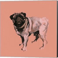 A Very Pop Modern Dog VII Fine Art Print