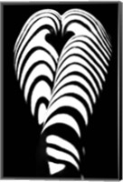 Zebra Ass 2 Fine Art Print