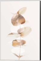 Eucalyptus Creative Gold 4 Fine Art Print