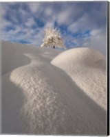 Curves of a Winter Landscape Fine Art Print