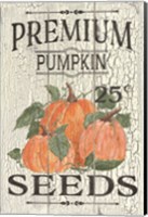 Pumpkin Seeds Fine Art Print
