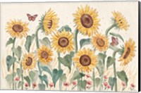 Sunflower Season I Bright Fine Art Print