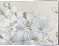 Spring Apple Blossoms Neutral Fine Art Print