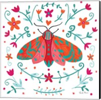 Pretty Moth Fine Art Print