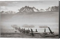 Stanley Basin Fence and Fog Fine Art Print