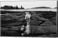 Fissures in Maine Fine Art Print