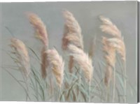 Pampas Grasses on Gray Fine Art Print