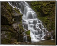 Eastatoe Falls Stairway Fine Art Print