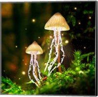 Jellyshrooms Fine Art Print