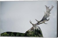 Antler Double-exposed Fine Art Print