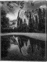 Yosemite I Fine Art Print