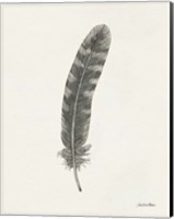 Springtime Feather I Fine Art Print
