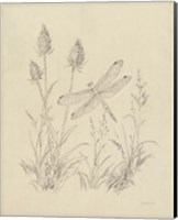 Vintage Nature Sketchbook IV Fine Art Print
