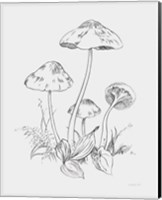 Natures Sketchbook III Bold Light Gray Fine Art Print