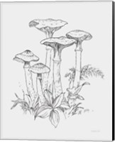Natures Sketchbook I Bold Light Gray Fine Art Print
