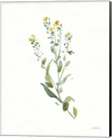 Flowers of the Wild IV Fine Art Print