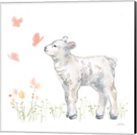 Spring Lamb IV Fine Art Print