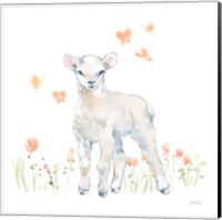 Spring Lambs II Fine Art Print