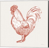 Cottage Rooster II Red Fine Art Print