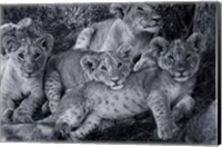 Lion Cub Family Fine Art Print