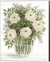Ranunculus on White Fine Art Print