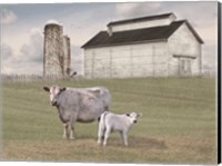 Momma and Baby Cow Fine Art Print