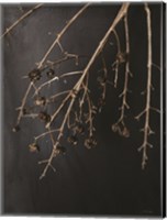 Branches in Noir II Fine Art Print