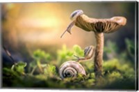 The Awakening of Snails Fine Art Print