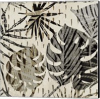 Grey Palms II Fine Art Print