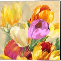 Colorful Tulips I Fine Art Print
