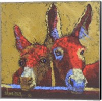 Donkeys Fine Art Print