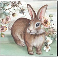 Farmhouse Bunny IV Fine Art Print