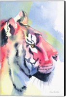Tiger Portrait Fine Art Print