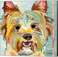 Yorkie Fine Art Print