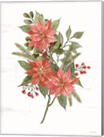 Poinsettia Christmas Botanical Fine Art Print
