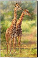 Giraffe Love Fine Art Print